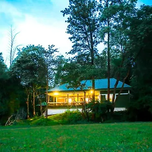  Resort Tusker Forest By Voye Homes